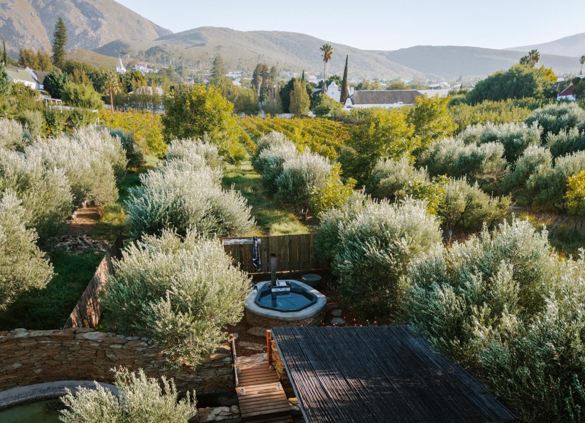 Olive Stone Farm Cottages Montagu Eksteriør bilde